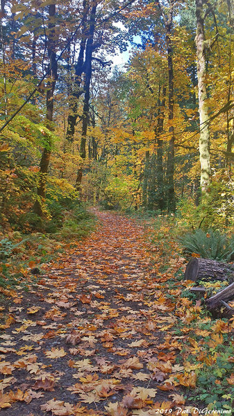 Lovely fall hike.
