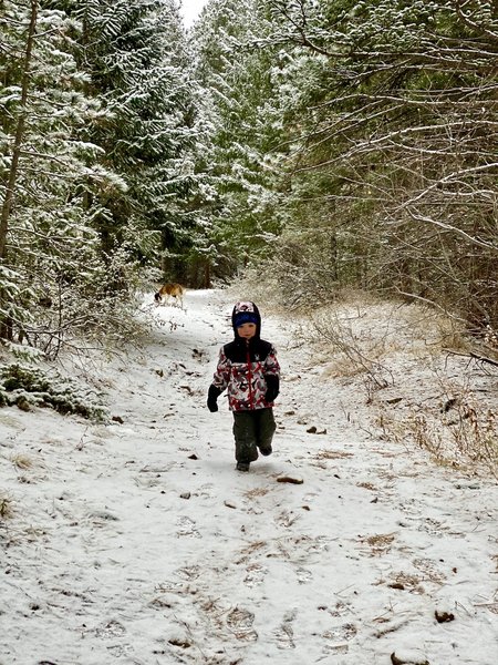 Slaughterhouse gulch trail