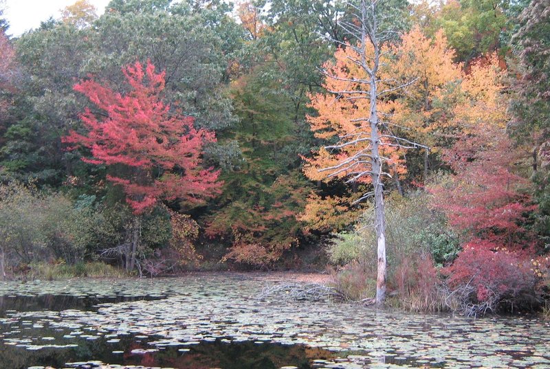 Ipswich River Audubon Sanctuary