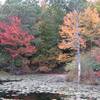 Ipswich River Audubon Sanctuary