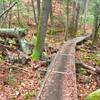 Cool wooden bridge