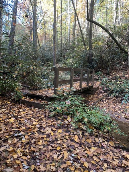 Bridge Jacob branch trail