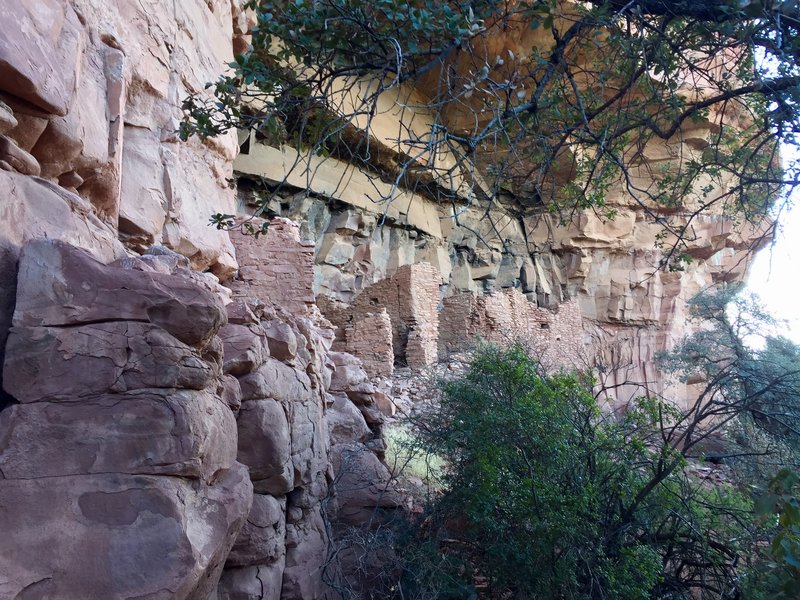 Ruins at Honanki.