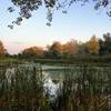 Birdsong nature walk has some nice pond-side spots for viewing the fall colors.