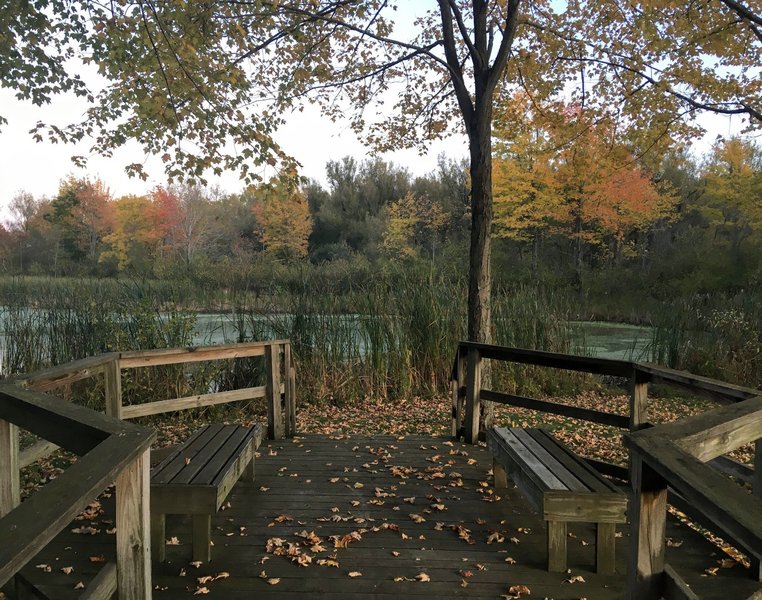 A hidden boardwalk grotto off to the side of the nature walk.