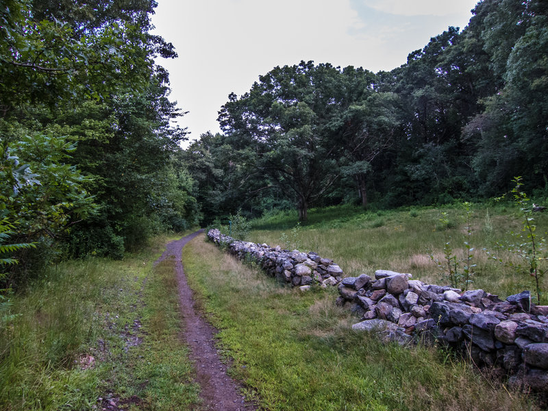 Metfern Cemetery. This cemetery served the Metropolitan State Hospital, a psychiatric hospital, that used to be located 0.5 miles north.