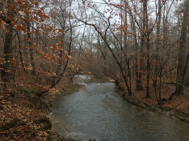 Prince William Forest Park, Triangle, Virginia