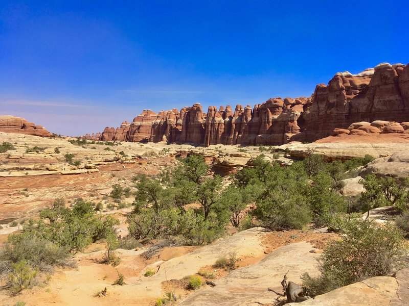 View of Elephant Canyon just after crossing over the ladders from Squaw Canyon