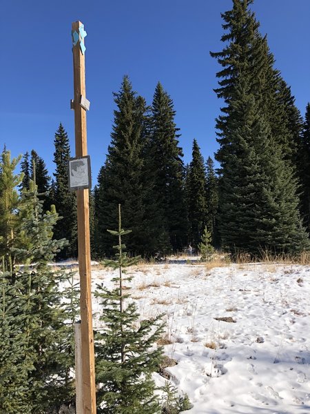 Nordic Ski Trail Marker F looking north