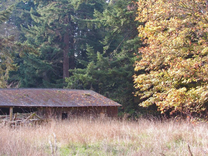 Old barn