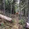 Fall hiking conditions on the Buck Creek Trail