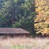 Old barn