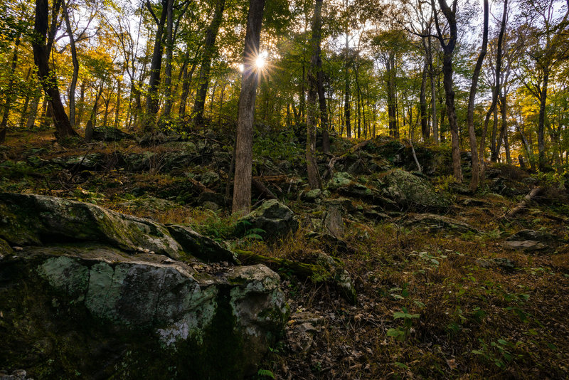 Random Scenery in Cunningham Falls State Park