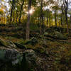 Random Scenery in Cunningham Falls State Park