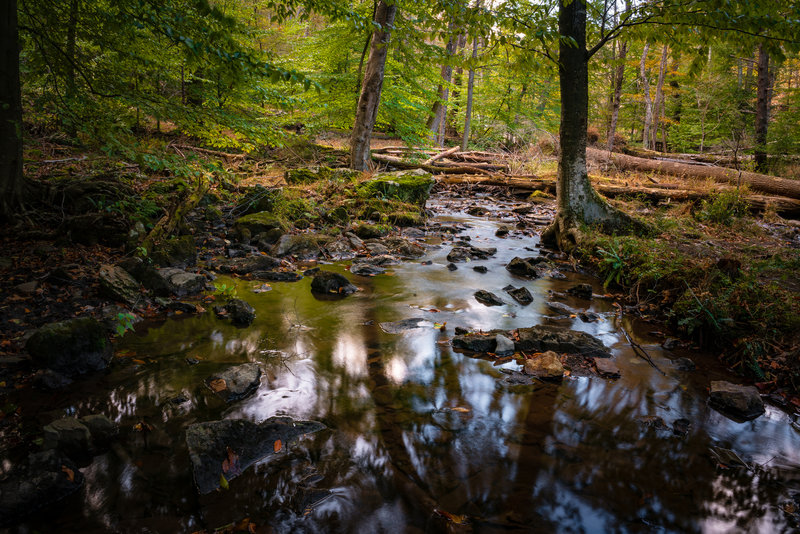 Cunningham Falls Creek