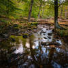 Cunningham Falls Creek