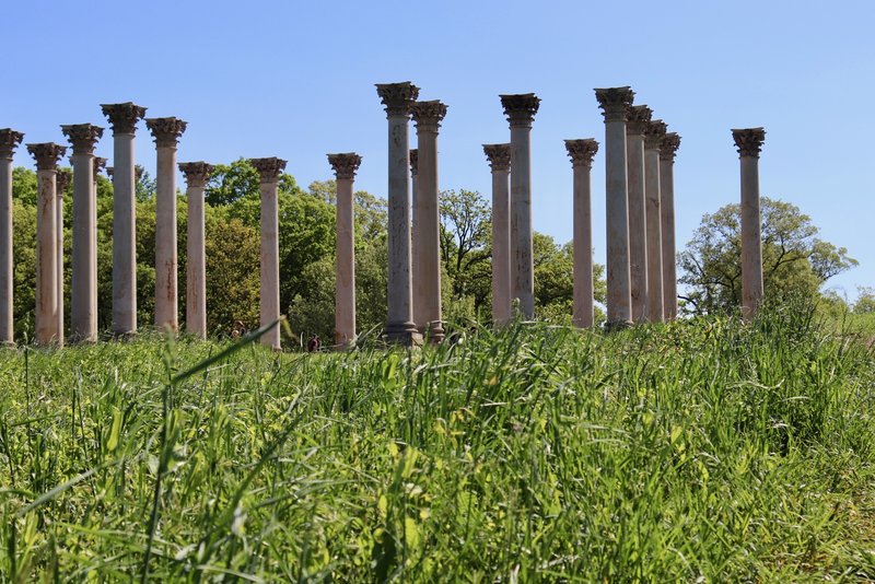 Over the small hill of Capitol Columns