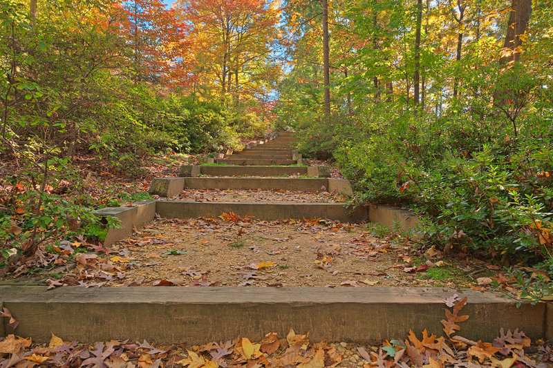 Autumn Arboretum Stairway