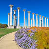 Capitol Arboretum Columns