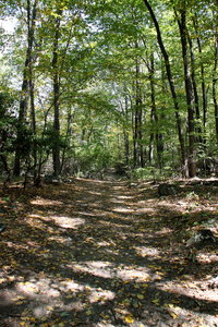 Sugarloaf Mountain Trail