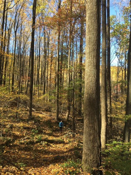 Beautiful fall hike on a steep trail.