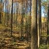 Beautiful fall hike on a steep trail.