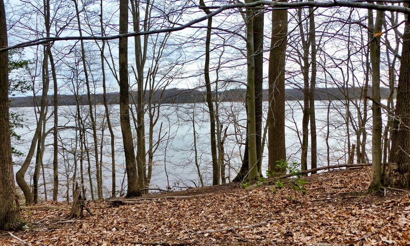 Black Walnut Creek - Patuxent River Park