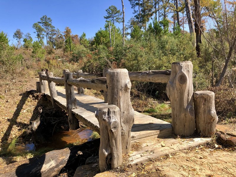 Bridge on Pine Warbler Trail ( Black Trail  )