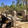 Bridge on Pine Warbler Trail ( Black Trail  )