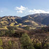 Mendenhall Springs hills from water tank on Oak Hills Trail.