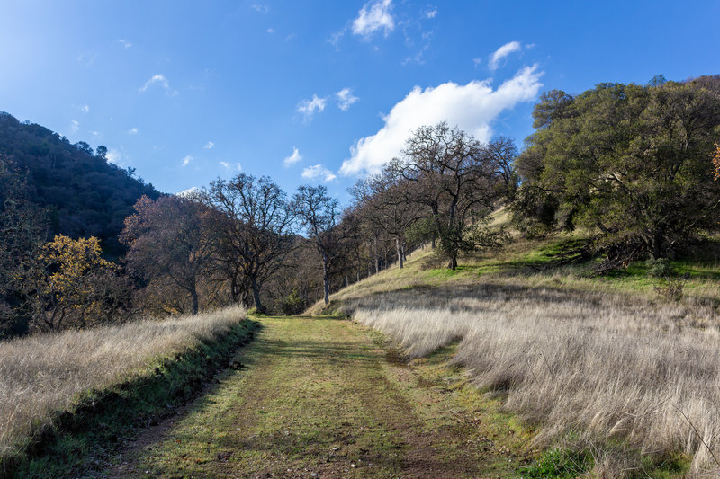 Deer Jaw Trail