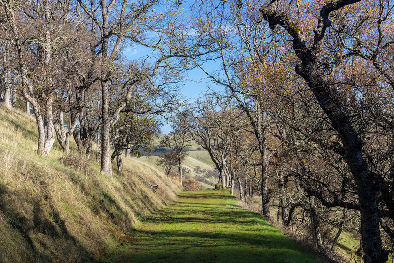 Towards the end of Deer Jaw Trail.