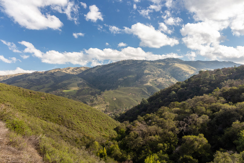 Looking towards Mendenhall Springs from Sailor Camp Trail.