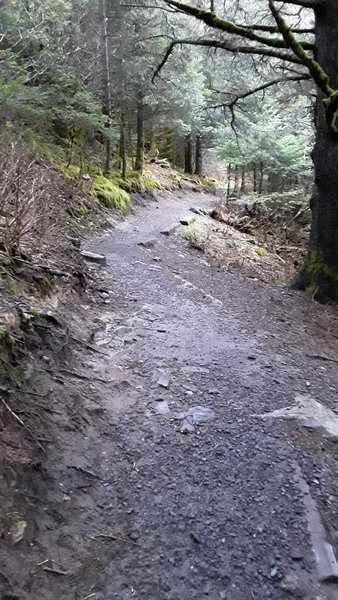 South Point Trail