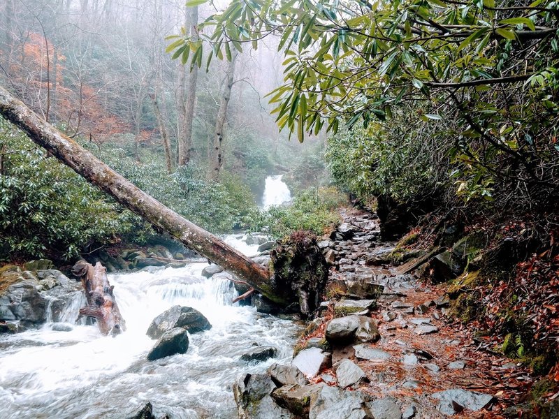 Grotto Falls in background with rock path on the right. Taken November 2018 on a rainy/snowy ascent of Mt. Laconte. A little rain makes the creek crossings swollen. Socks were damp to say the least even with Gortex leather mid-hiking boots.