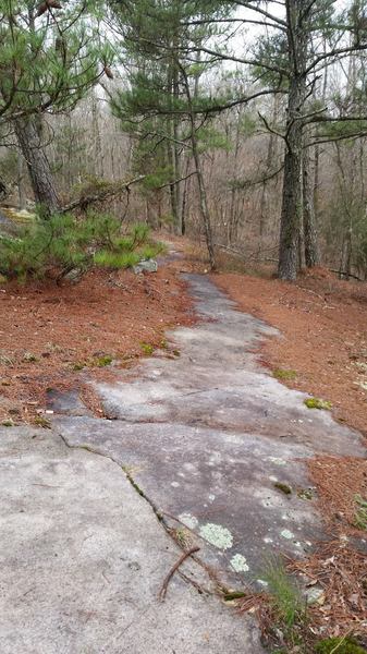 Granite is always popping up at Clinton. On the Granite Loop Trail