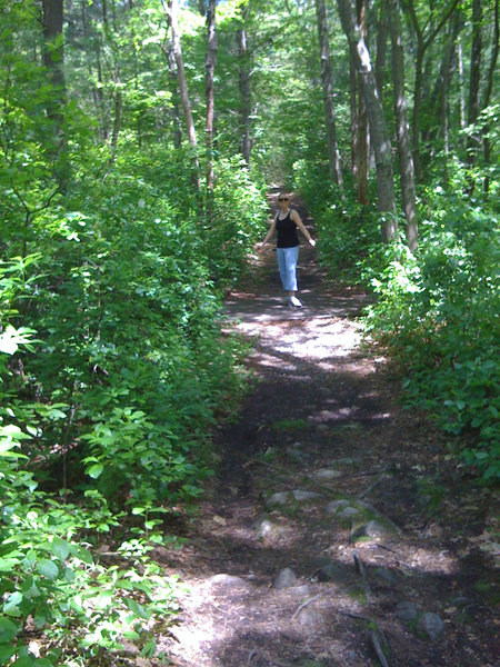 Hiking in Wompatuck" by Matthew Simoneau (https://tinyurl.com/wal49bv), Flickr licensed under CC BY-SA 2.0 (https://creativecommons.org/licenses/by-sa/2.0/).