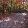 junction of Tower Trail and Backside Trail