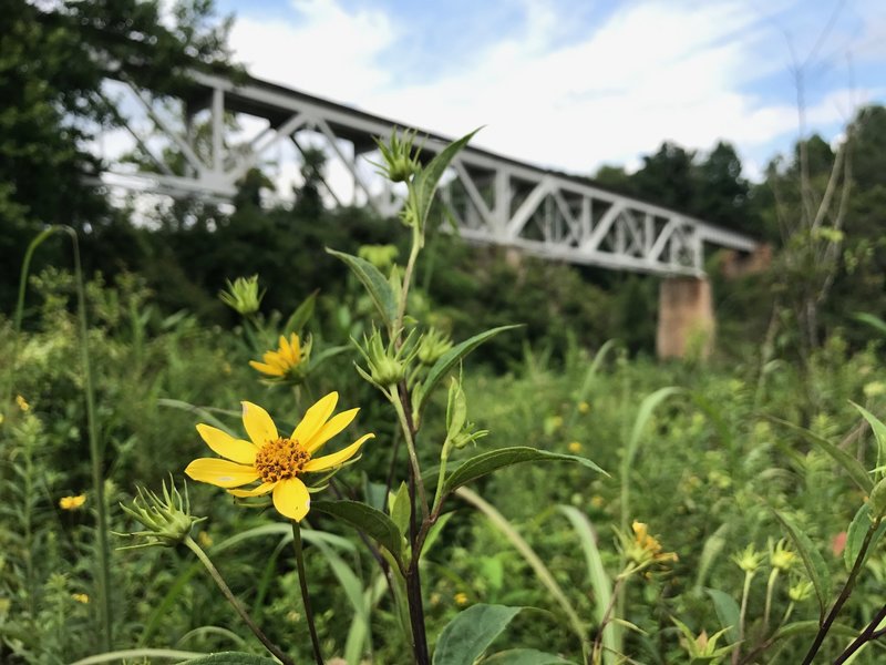 South Fork Trail