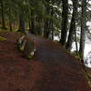 Lake side bench