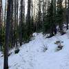 Snow-covered trail.