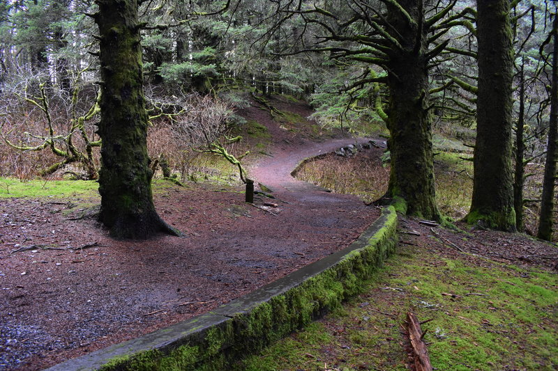 North end center trail, near island park