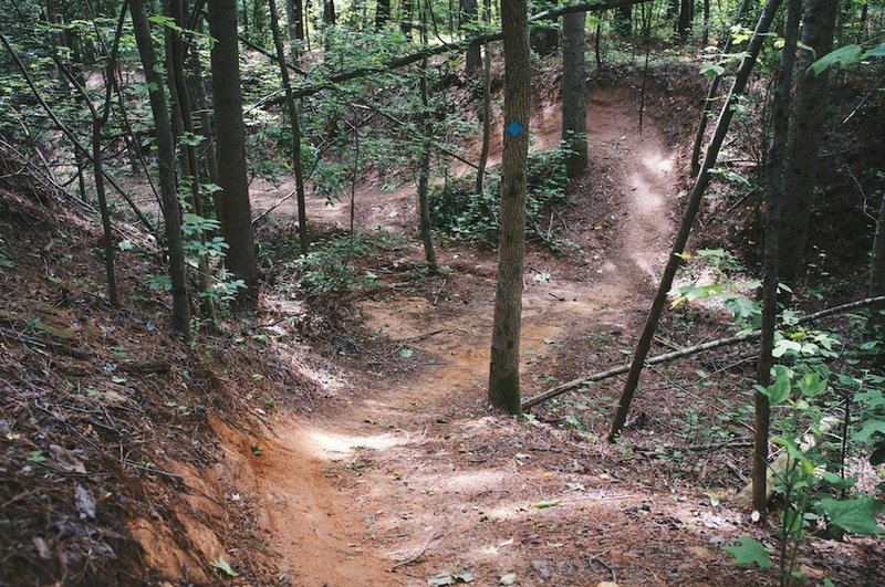 Awesome gully run on Fox Loop.