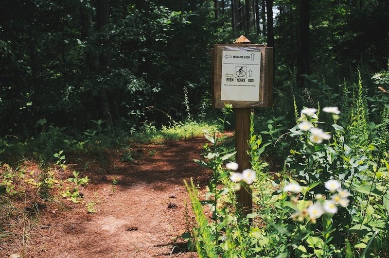 Entrance to wildlife loop.