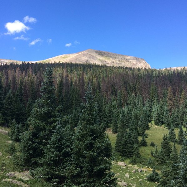 Views near trailhead