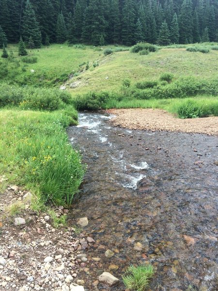 Creek Crossing