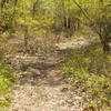 Looking up Whipple Hill. Photo provided by Town of Lexington, Conservation Division.