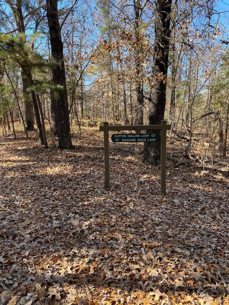 Bashore Ridge Loop Hiking Trail, Prairie Creek, Arkansas