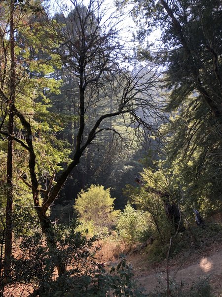 Schilling Lake is down below, behind the trees, end of the hike.