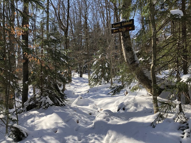 Photo location is approximate. Once I achieved the lions share of elevation gain, this was the trail view.  No one had been on the trail for a while. No significant foot prints in the snow but well marked trail helped.